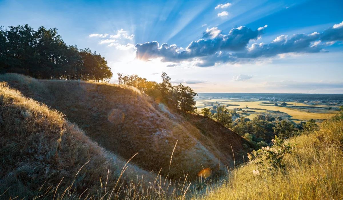Czy poradzić się prawnika to obowiązek?