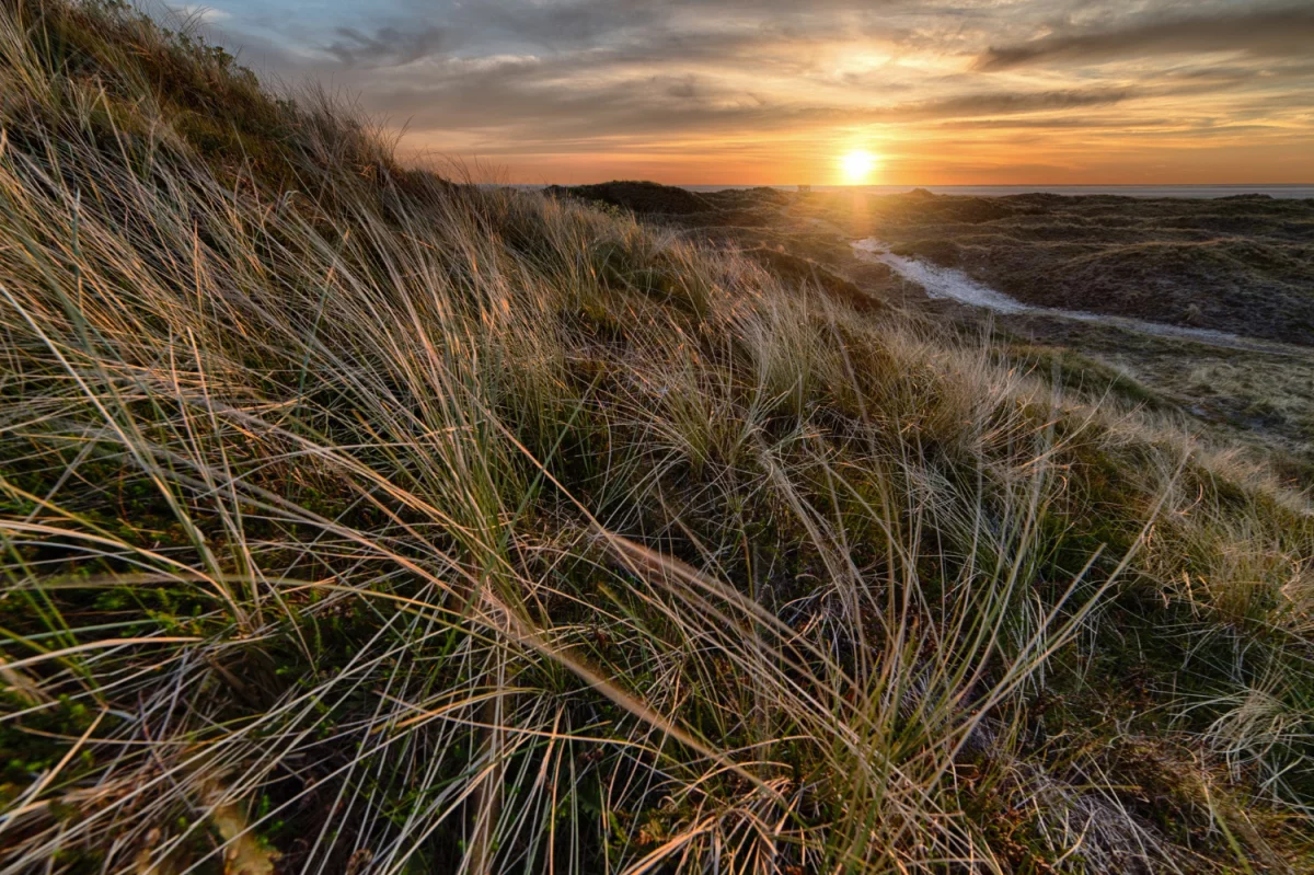 Czy możesz szkolić się?