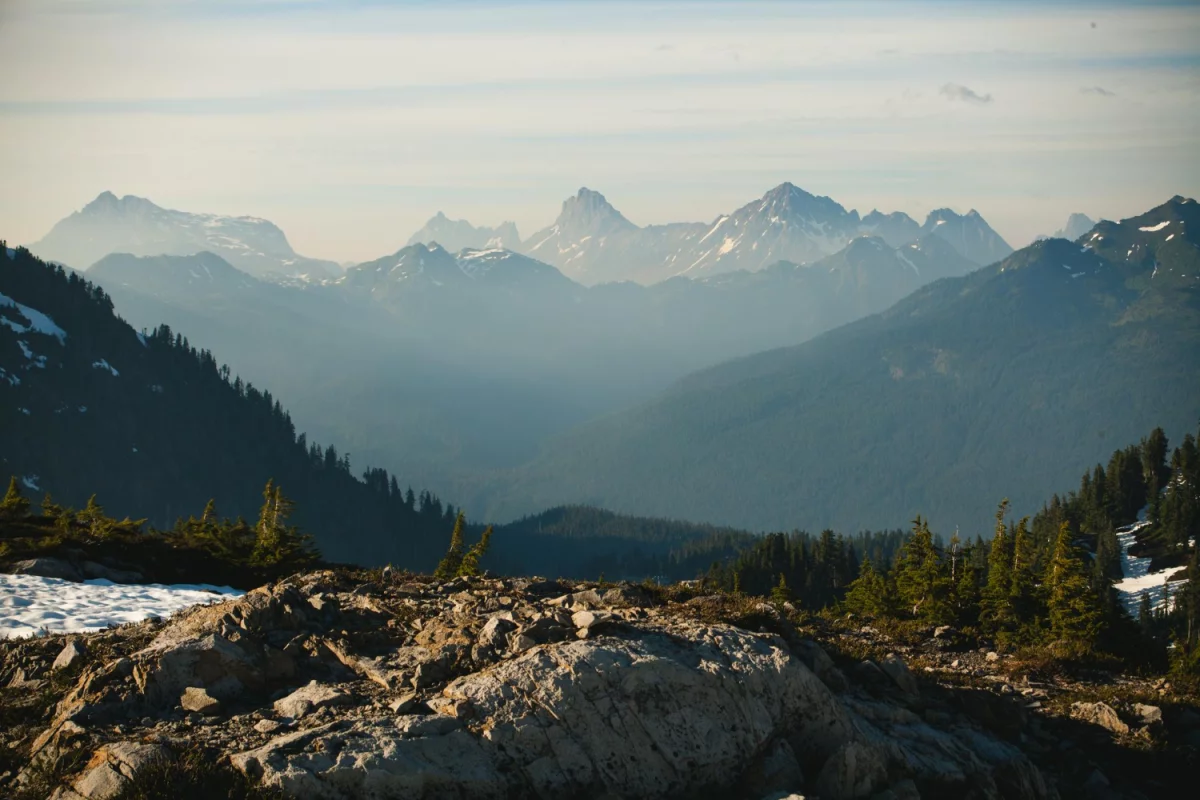 Wycena tego jak zrozumieć prawo